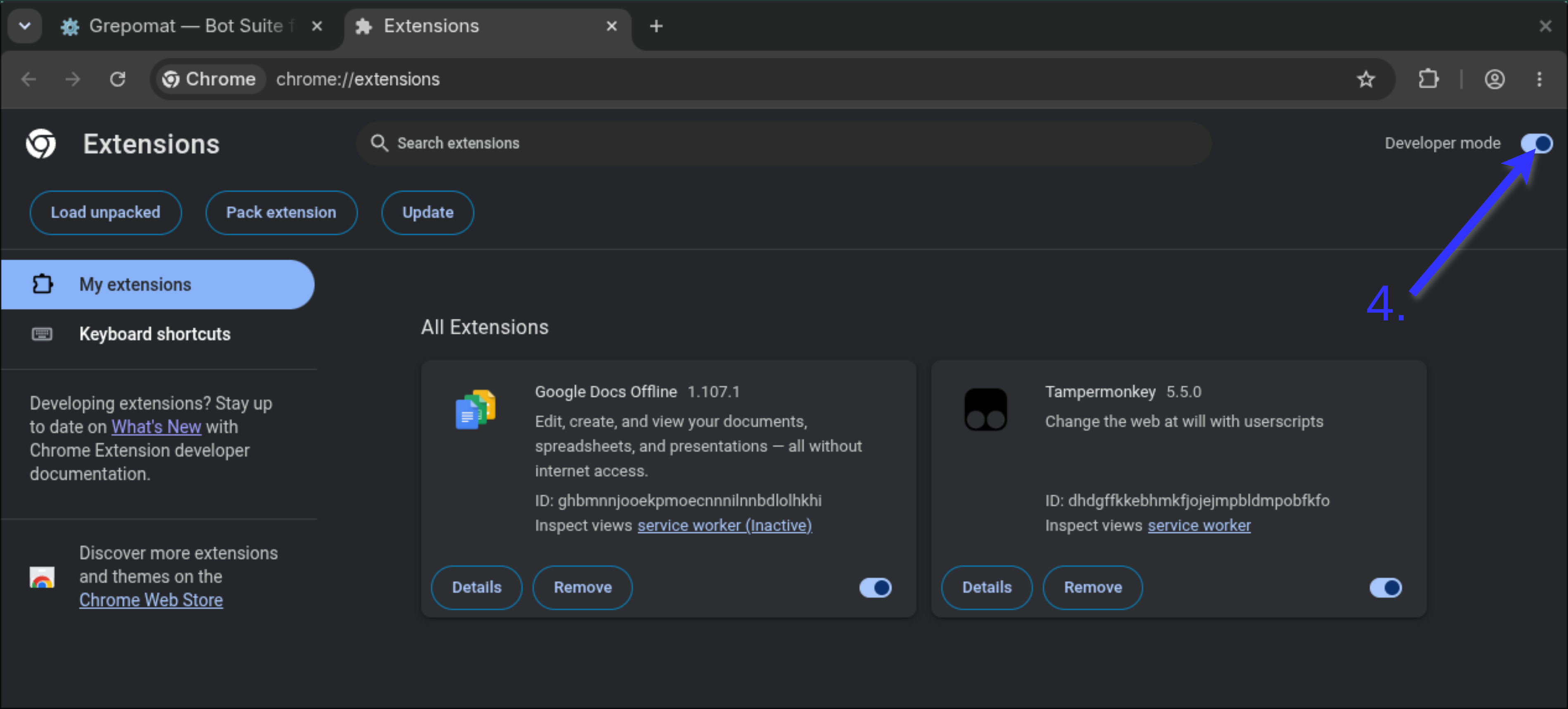 Turn on the Developer mode switch